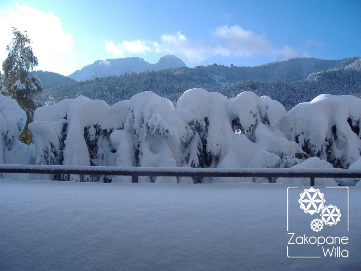 Zakopane Willa المظهر الخارجي الصورة