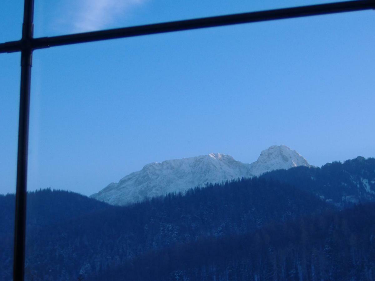 Zakopane Willa المظهر الخارجي الصورة